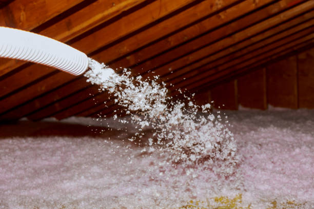 Best Spray Foam Insulation in Barrackville, WV