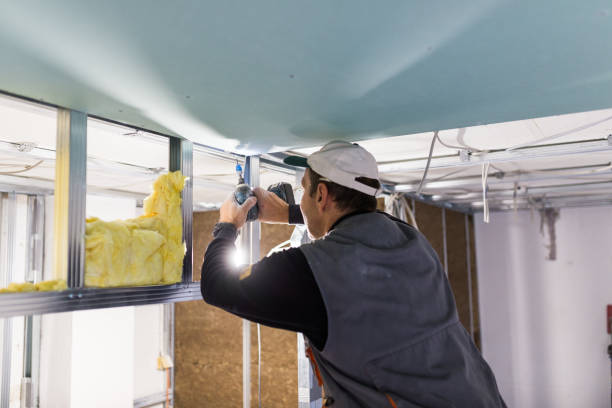 Best Geographic-Specific Insulation Services in Barrackville, WV