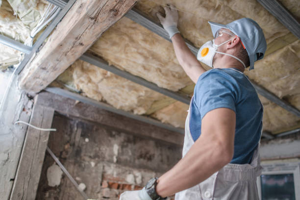 Best Commercial Insulation in Barrackville, WV