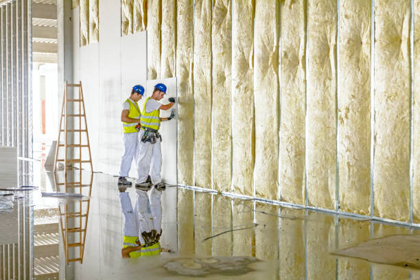 Best Residential Insulation in Barrackville, WV